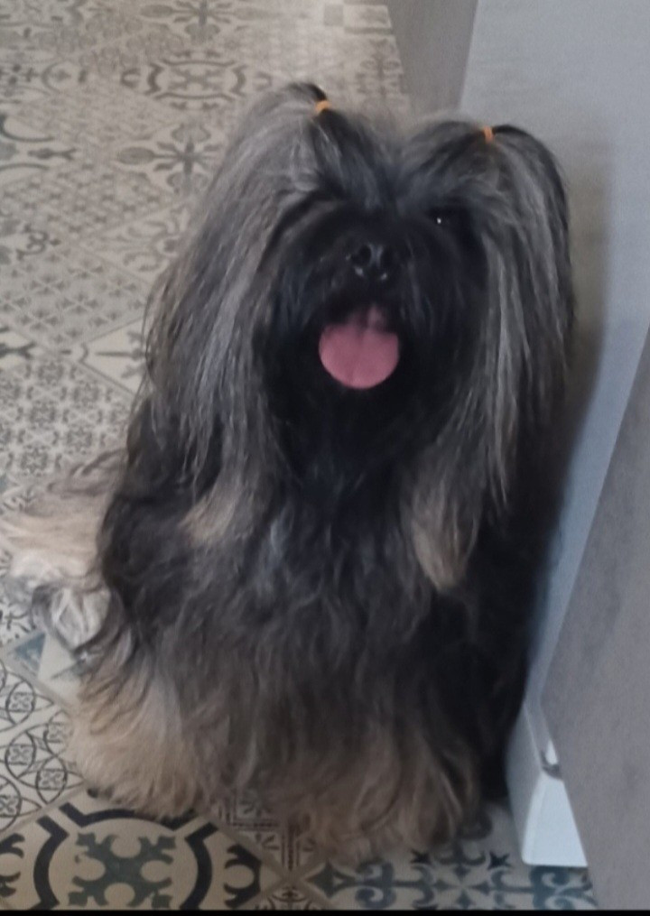 Smoothie Mc Doodle Doo De La Cure Des Maprelles